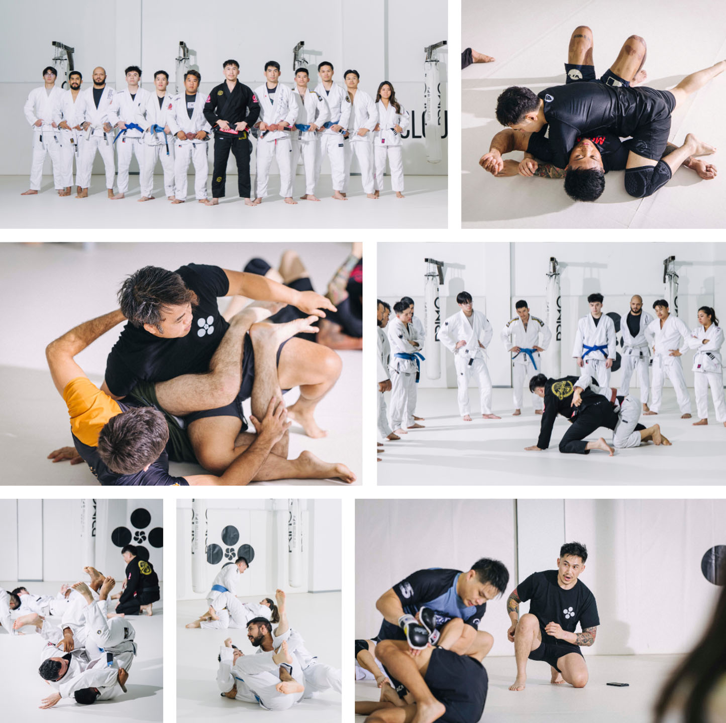 Cloud Nine MMA